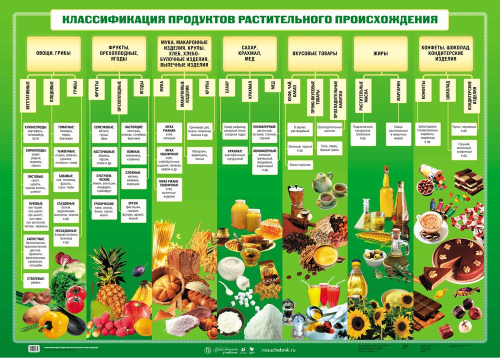 Плакат Классификация продуктов растительного происхождения