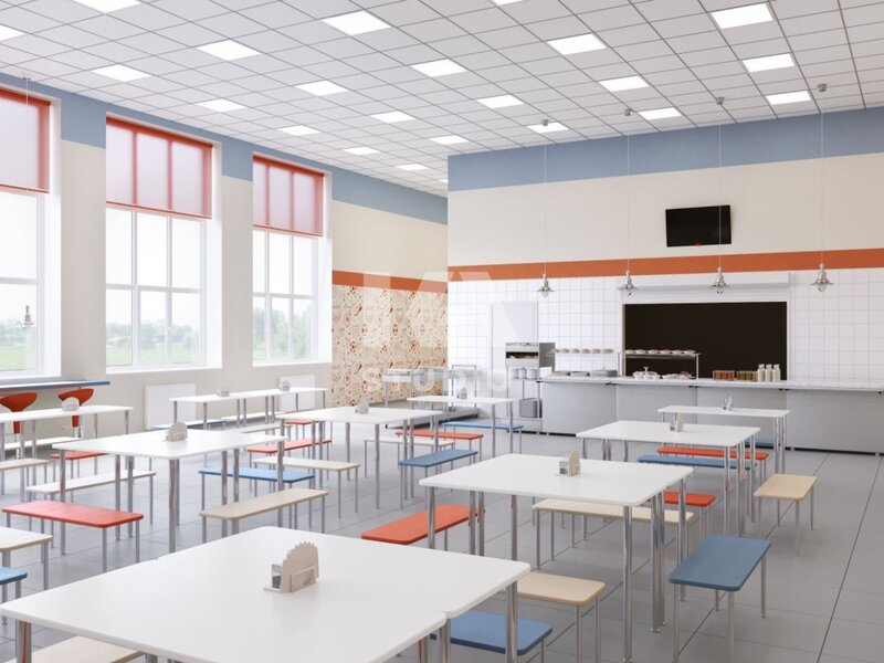 Оформляем обеденную зону в школьной столовой