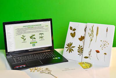 Гербарий натурально-интерактивный Морфология растений