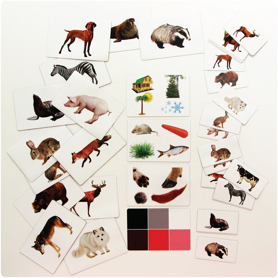 Набор магнитных карточек Загадки-отрицания. Животные.