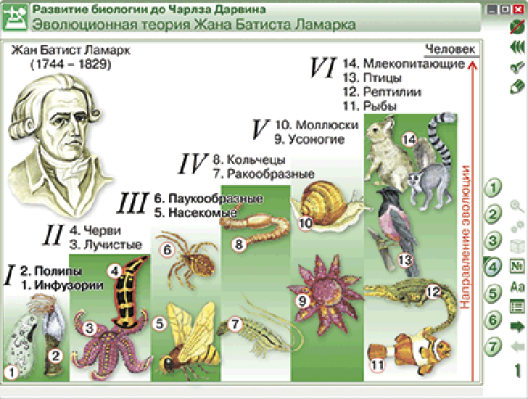 Пособие для интерактивной доски Эволюционное учение