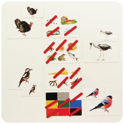 Набор магнитных карточек Загадки-отрицания. Птицы.