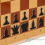 Демонстрационные шахматы магнитные (поле 61х61 см)