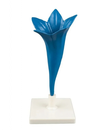 Модель Цветок василька
