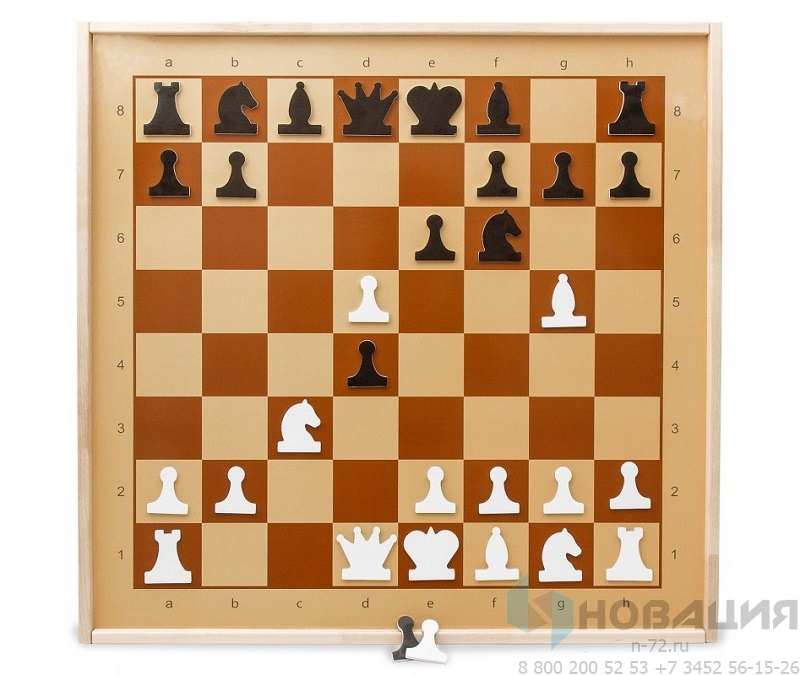 Доска магнитно-маркерная Шахматы-шашки с комплектом тематических магнитов