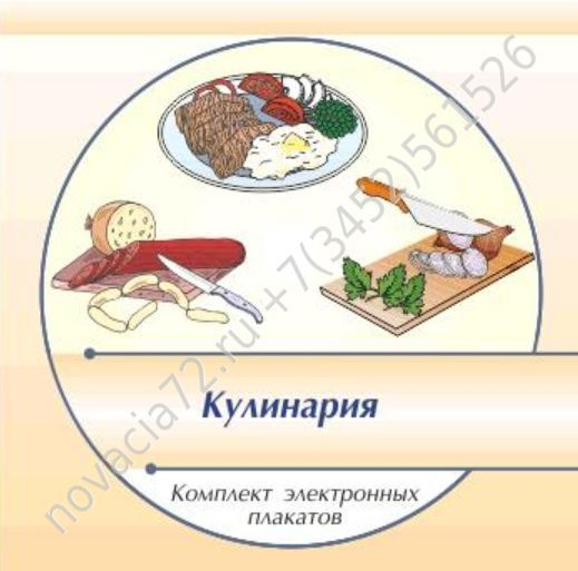 http://novacia72.ru/d/383128/d/komplekt_elektronnykh_plakatov_po_kulinarii_na_cd1.jpg