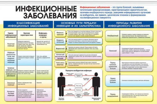 Плакат Инфекционные заболевания