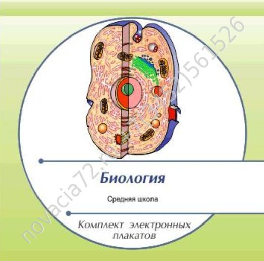 http://novacia72.ru/d/383128/d/komplekt_elektronnykh_plakatov_po_biologii_na_cd1.jpg