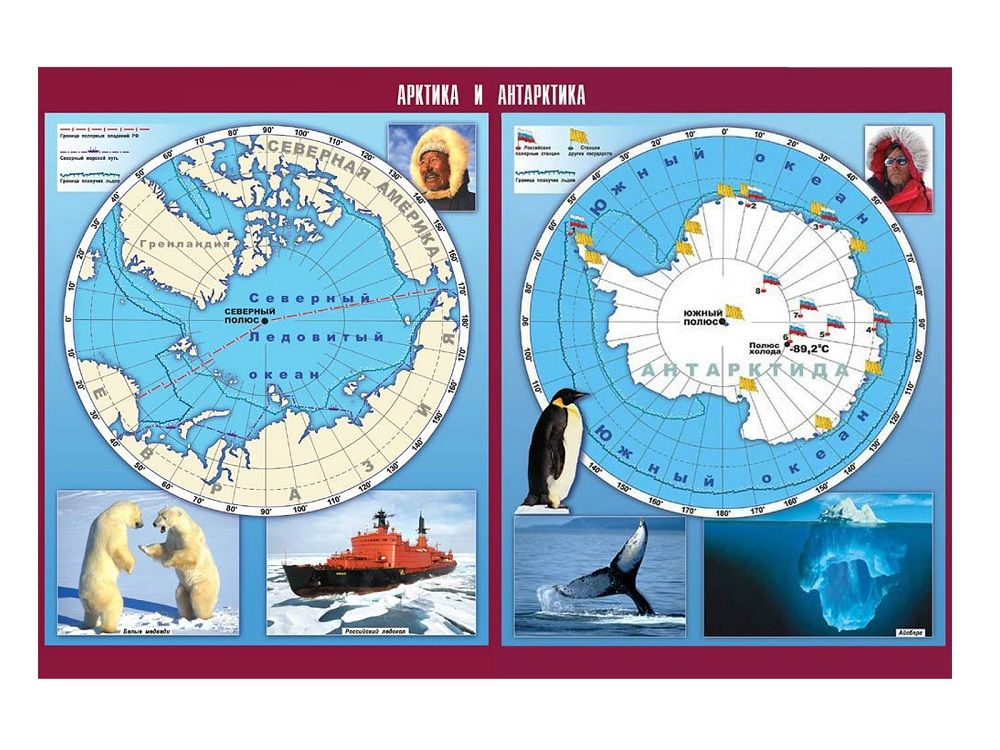 Таблица демонстрационная Арктика и Антарктика