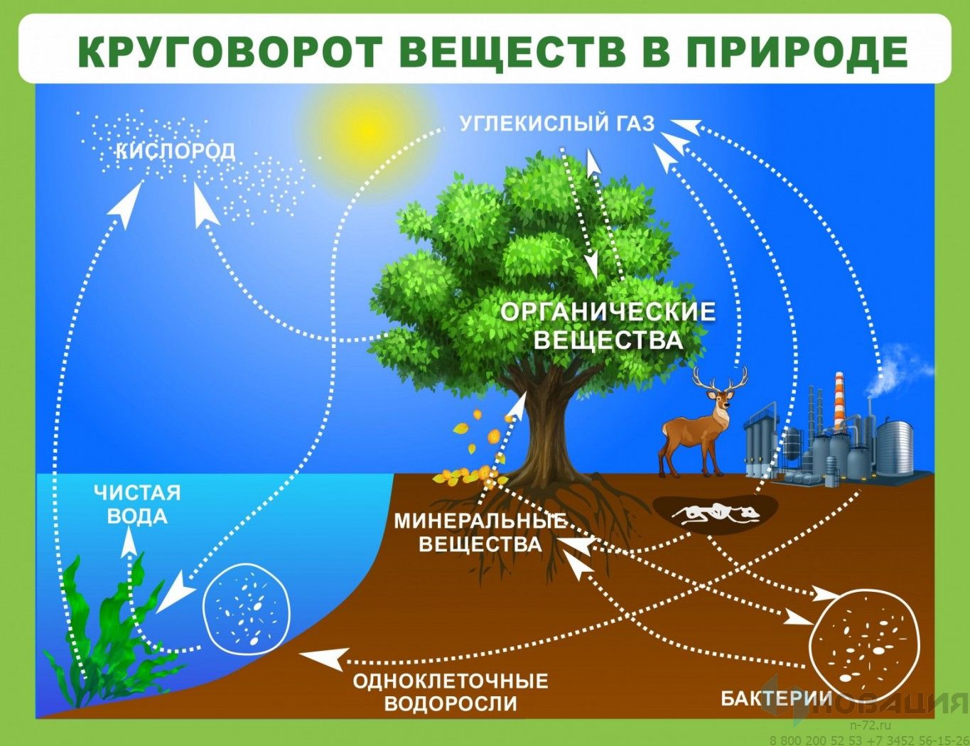 Стенд Круговорот веществ в природе, 1300х1000 мм: купить для школ и ДОУ с  доставкой по всей России