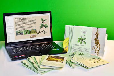 Гербарий натурально-интерактивный Дикорастущие растения