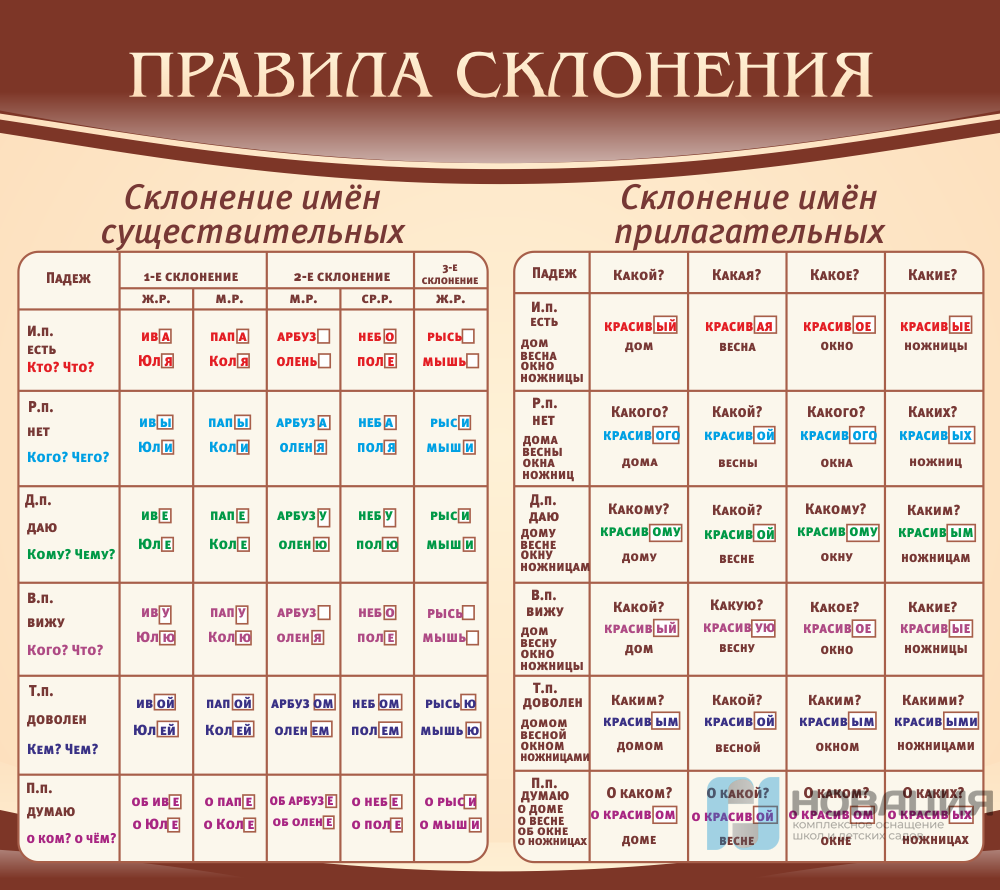 Стенд в школу Правила склонения, 0,9х0,8 м: купить для школ и ДОУ с  доставкой по всей России