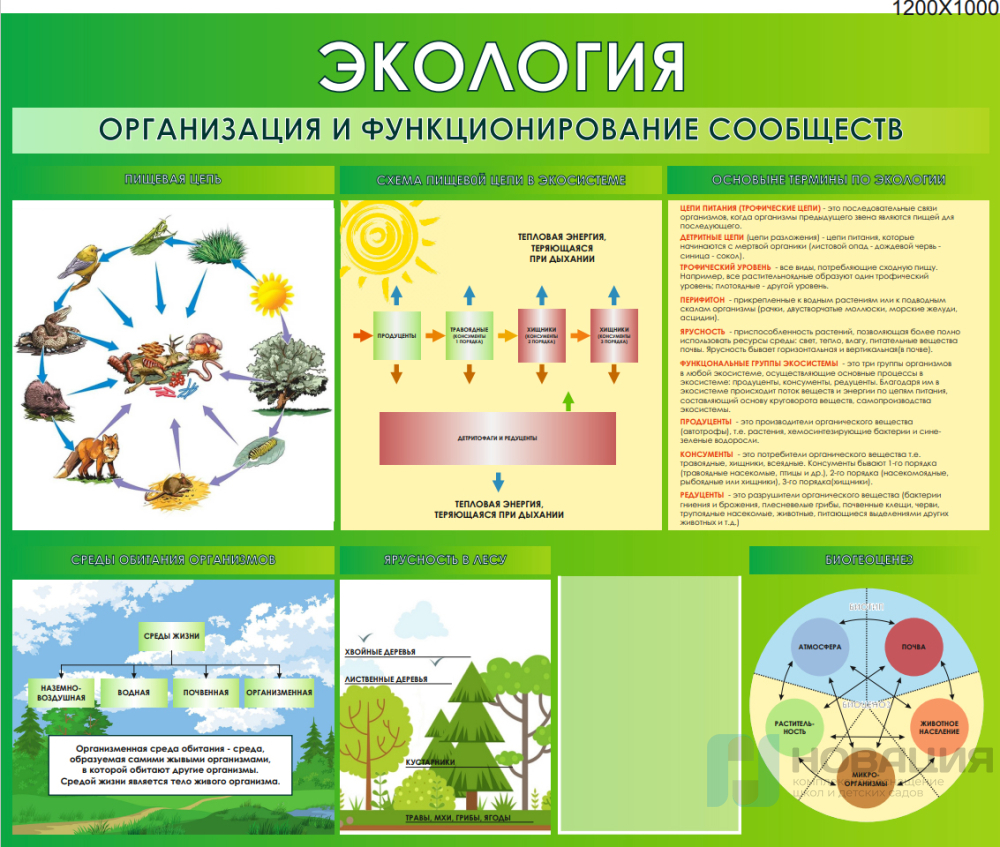 Требования по оформлению учебных кабинетов – Гимназия vlada-alushta.ruы