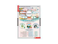 Комплект плакатов Литературное чтение 3 класс