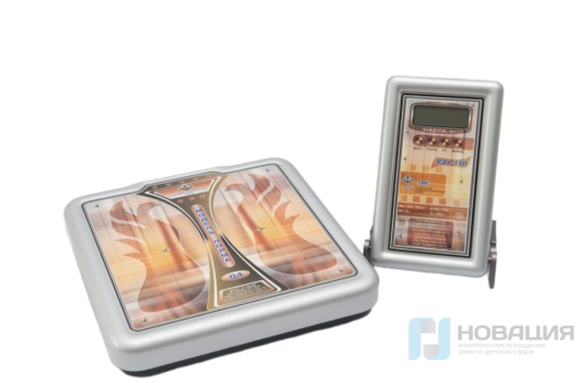 Весы электронные ВЭУ