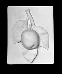 Гипсовая модель Ветка Яблони