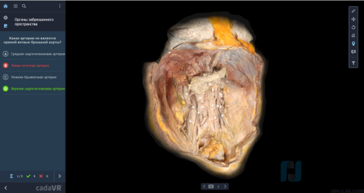 Интерактивный стол Реальная анатомия