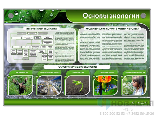 Электрифицированный стенд Основы экологии