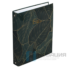 Тетрадь на кольцах А5 175х215 мм, 240 л., твердый картон, с разделителями, BRAUBERG, "Листья", 404099