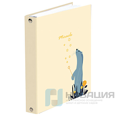 Тетрадь на кольцах А5 (175х215 мм), 240 л., обложка твердый картон, клетка, BRAUBERG, "Miracle", 404093