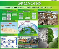 Стенд "Экология. Антропогенное воздействие на биосферу", 1100х900 мм