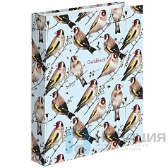 Тетрадь на кольцах А5 165х215 мм, 120 л., твердый картон, клетка, BRAUBERG, "Щеглы", 404079