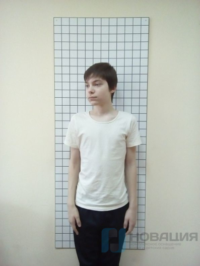 Определитель осанки