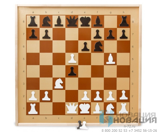 Доска магнитно-маркерная Шахматы-шашки с комплектом тематических магнитов