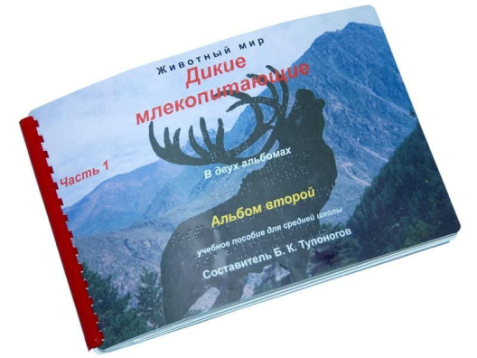 Пособие для незрячих Дикие млекопитающие