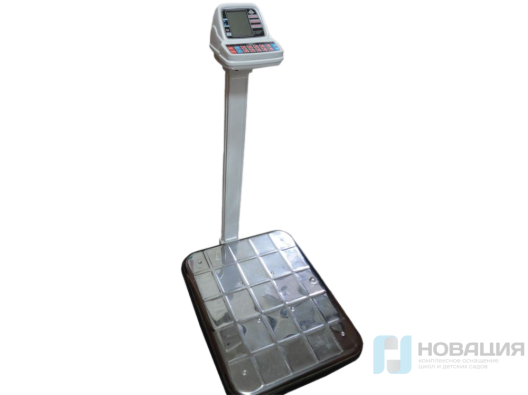 Весы электронные унифицированного конструктивного ряда ВЭУ