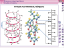 Пособие для интерактивной доски Наглядная химия. Органическая химия. Белки и нуклеиновые кислоты