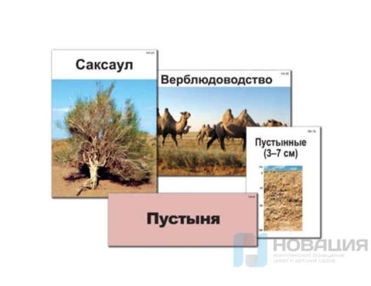 Модель-аппликация Природные зоны России (ламинированная)