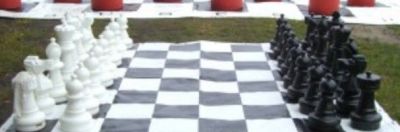 Поле шахматное виниловое 300х300 см