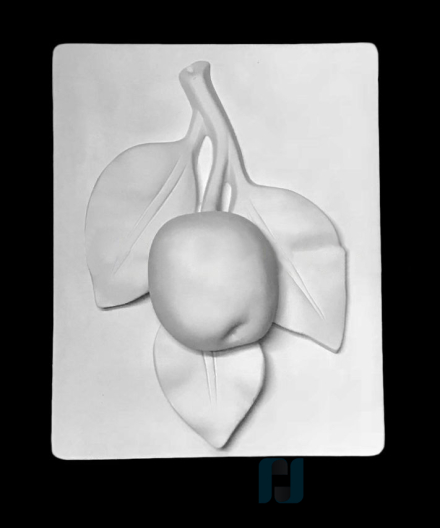 Гипсовая модель Ветка Яблони