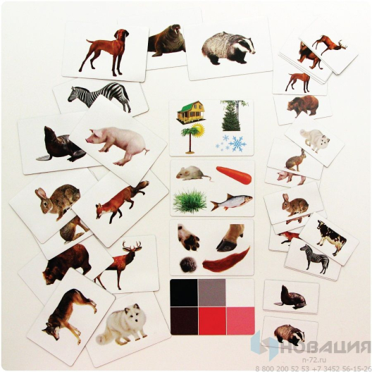 Набор магнитных карточек Загадки-отрицания. Животные.