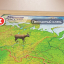 Карта России физическая 101х70 см, 1:8,5М, с ламинацией, интерактивная, европодвес, BRAUBERG, 112392