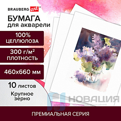 Бумага для акварели 300 г/м2 460x660 мм крупное зерно, 10 листов, BRAUBERG ART PREMIERE, 113234