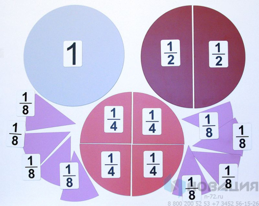 Набор магнитных карточек Дроби и доли №1
