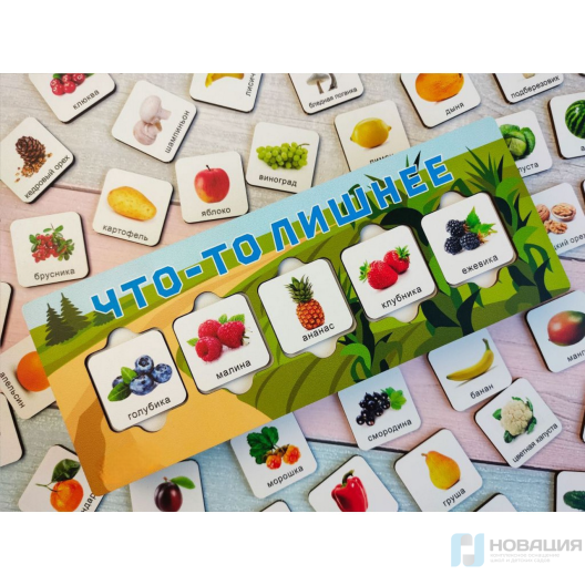 Тренажер для малышей Что-то лишнее