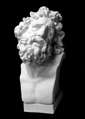 Гипсовая модель Бюст Лаокоона