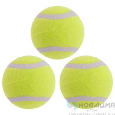 Мяч для большого тенниса (набор 3 шт)