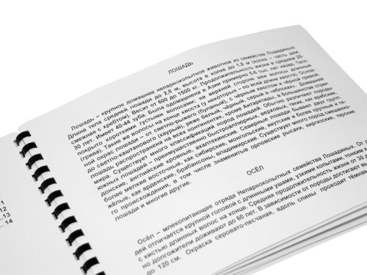 Пособие для незрячих Дикие млекопитающие