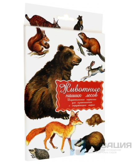 Набор дидактических карточек "Животные наших лесов"