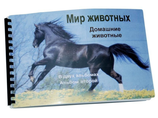 Пособие для незрячих Домашние животные