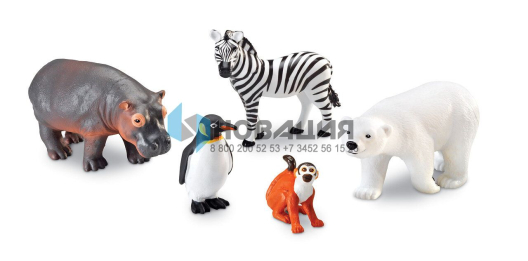 Демонстрационный набор Животные из зоопарка